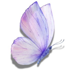 fluture favicom