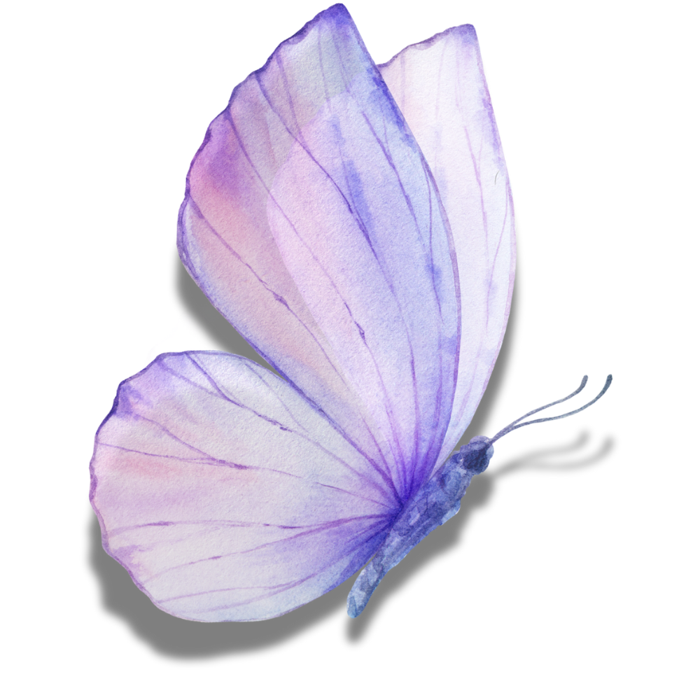 fluture format patrat